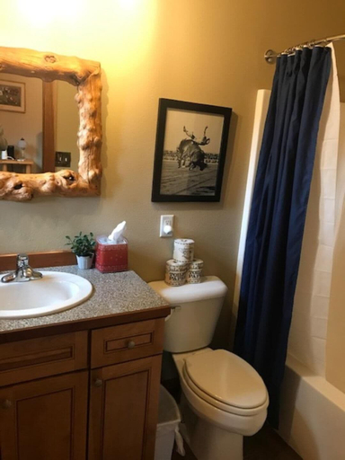 Bathroom 4, Inn on Bigfork Bay John Wayne, Flathead