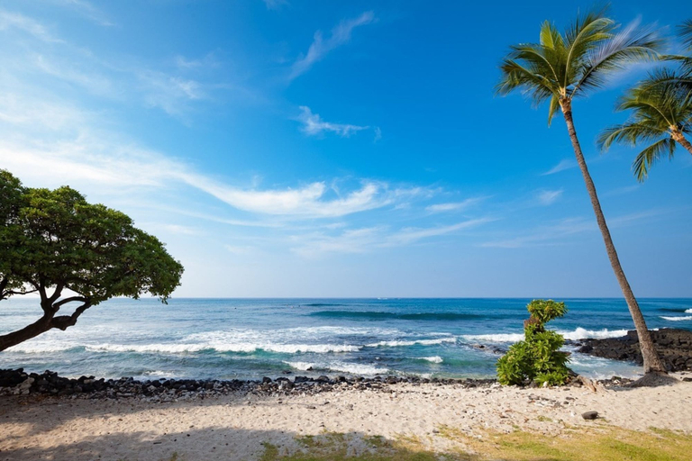 Others 5, Banyan Tree 403C by Casago Kona - On the Pacific, Hawaii