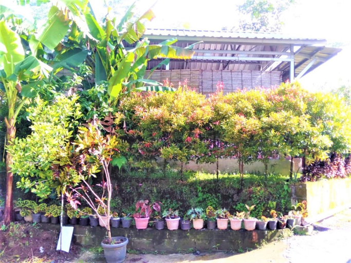 Others 4, Menggala Cottage by ZUZU, Banyumas