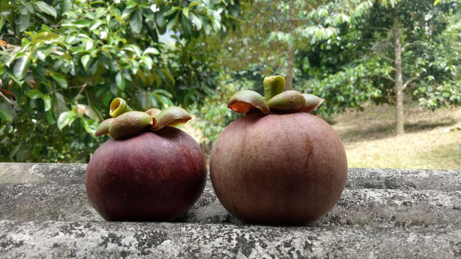 Others 2, Baan Keree Thara, Lan Saka