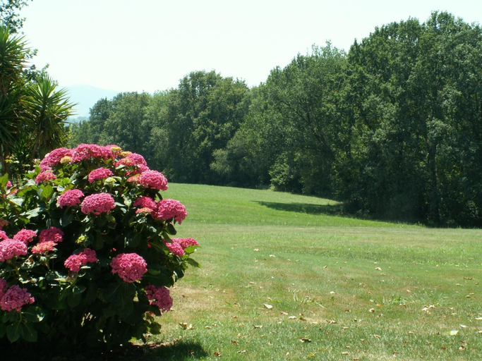 Others 5, BIDACHUNA, Pyrénées-Atlantiques