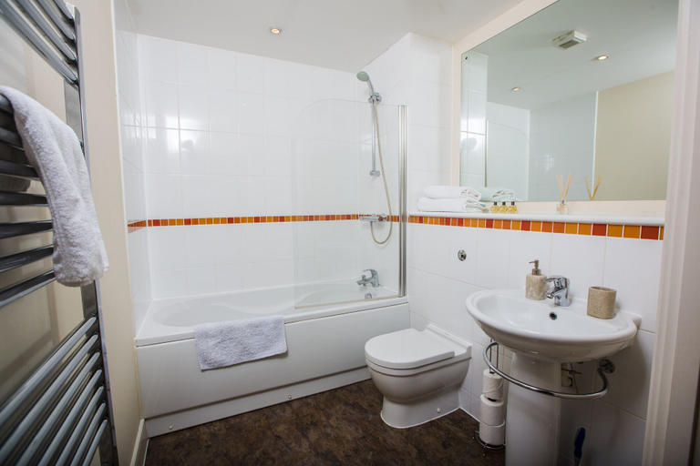 Bathroom 4, Panoramic View, Swansea