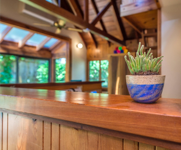 Public Area, Tree Fort! Redwoods! Hot Tub!! Fire Table!! Google Smart Home!! Fast WiFi!! Dog Friendly!, Sonoma