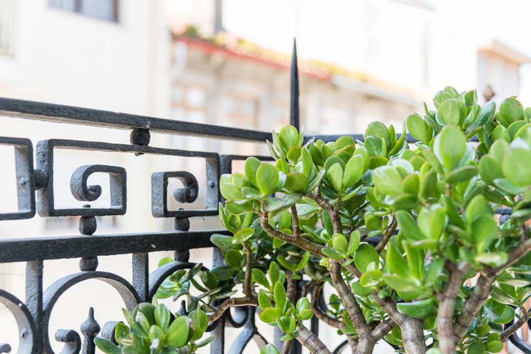 Exterior & Views, GuestReady - Cosy living in downtown, Porto