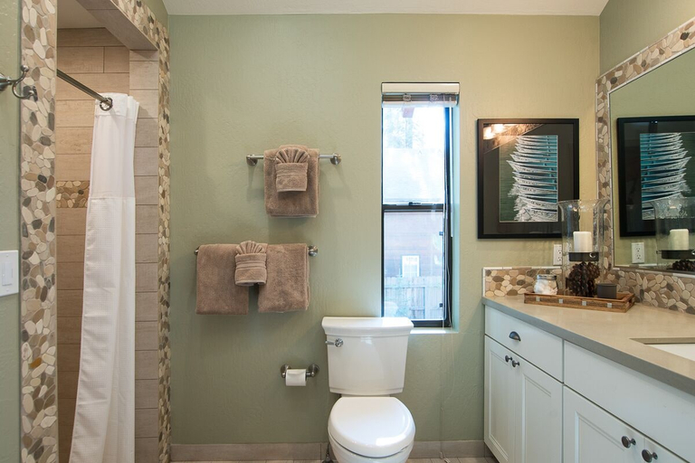 Bathroom 5, North Shore - Dancing Antler, Placer
