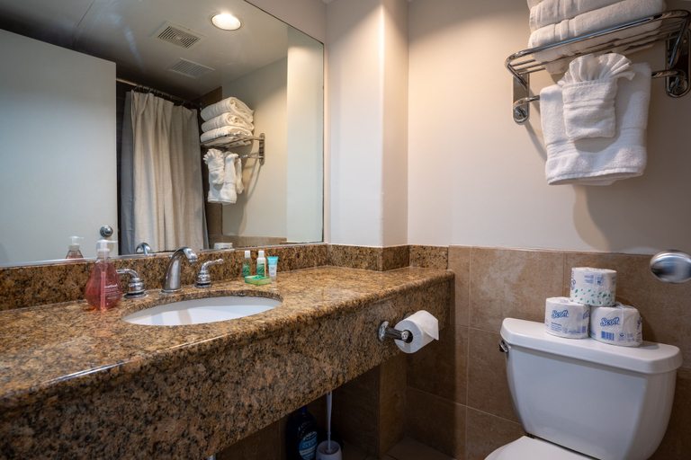 Bathroom 5, Ilikai 1117 - Studio Condo, Honolulu