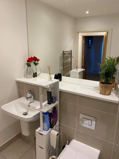 Bathroom 4, Ashahmali's Apartment, Southampton