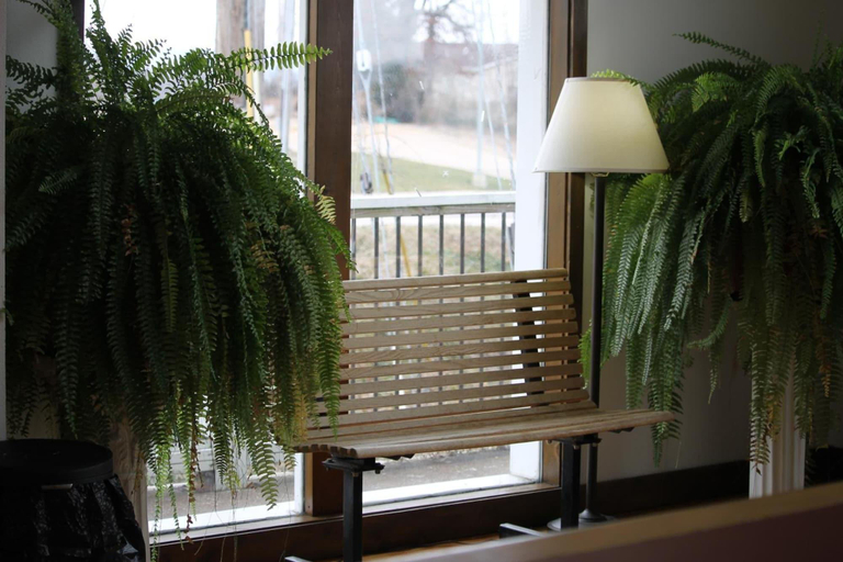 Public Area, Hawk's Nest Lodge, Camden