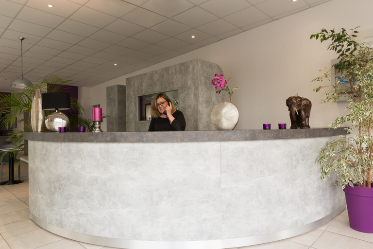 Public Area 3, Brit Hotel Confort Nevers Centre Gare, Nièvre