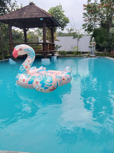 unknown 21