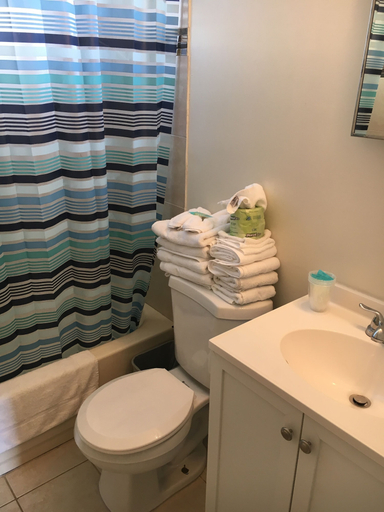 Bathroom 4, Blue Diamond Motel, Cape May