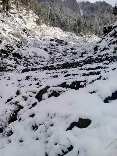 Others 5, FR Darya E Swat Hotel, Malakand