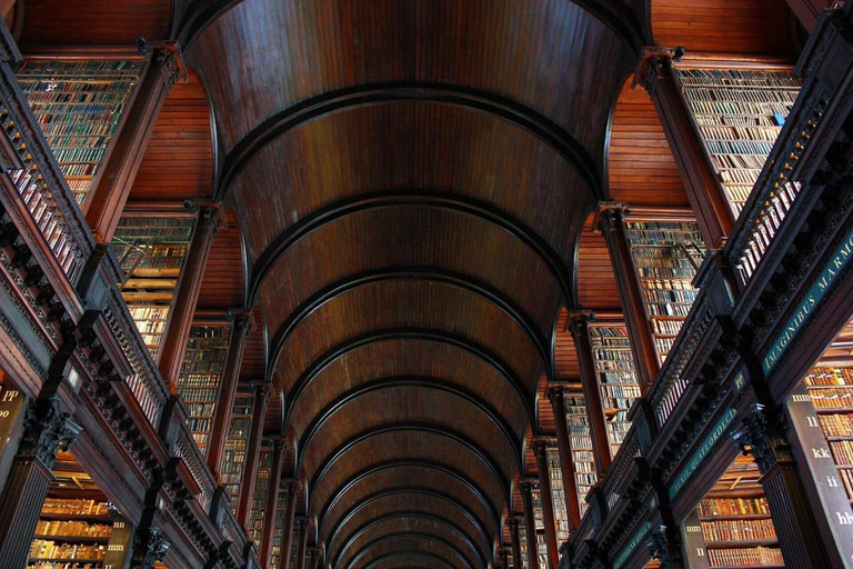 Public Area, The Temple Bar Lane, Dublin