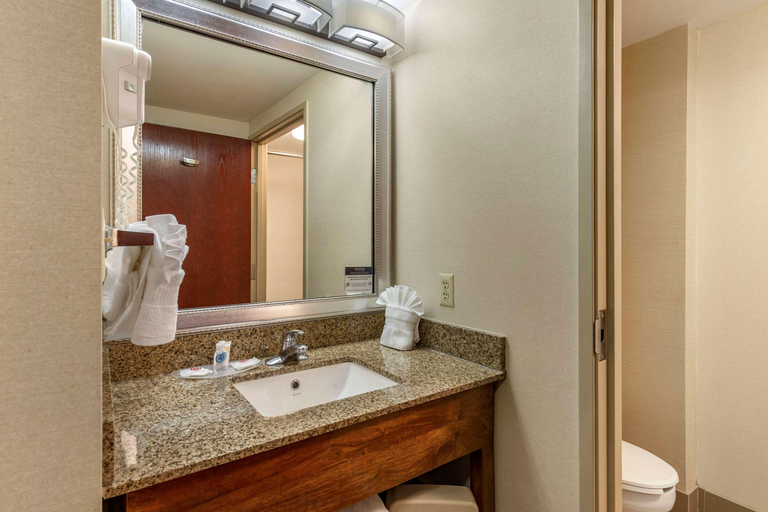 Bathroom 4, Comfort Suites Manassas Battlefield Park, Prince William