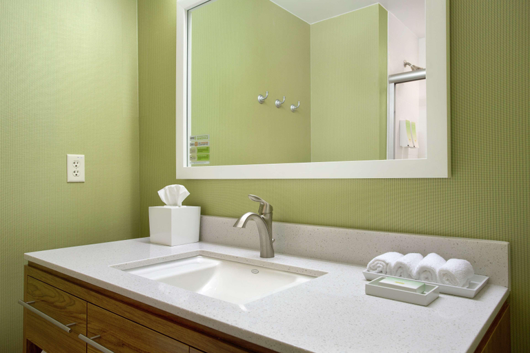 Bathroom 4, Home2 Suites San Antonio Airport, Bexar