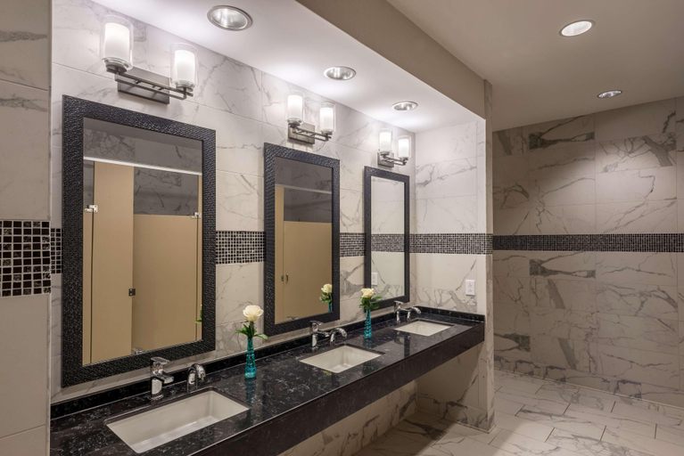 Bathroom 4, Home2 Suites by Hilton Memphis East Germantown, Shelby