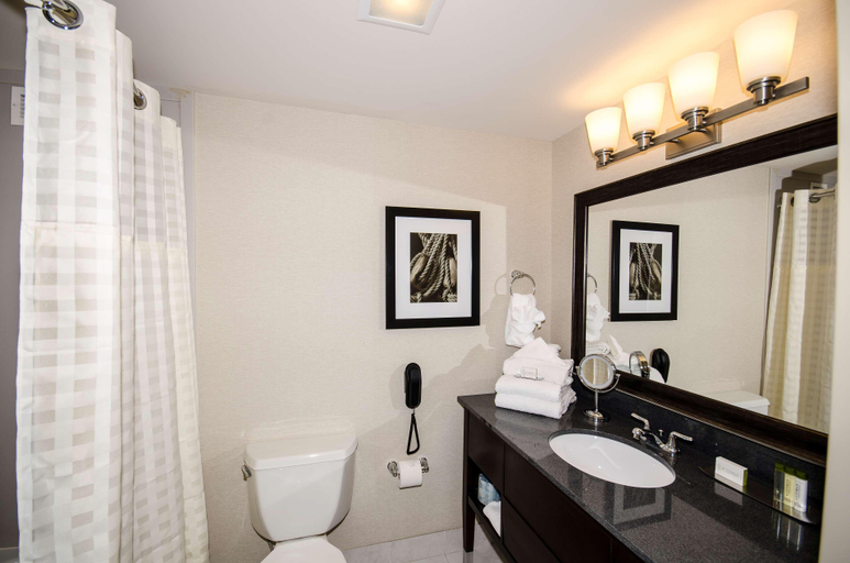 Bathroom 5, DoubleTree by Hilton Port Huron, Saint Clair