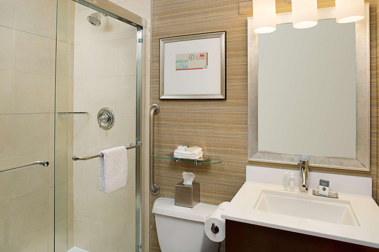 Bathroom 5, DoubleTree by Hilton Baltimore - BWI Airport, Anne Arundel