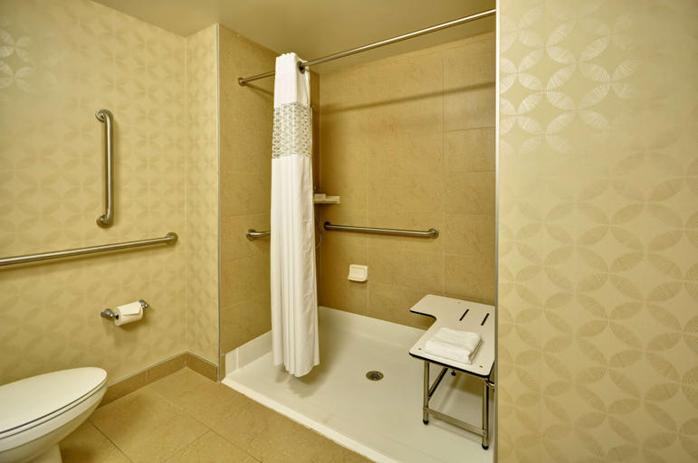 Bathroom 4, Hampton Inn & Suites Tampa Northwest/Oldsmar, Pinellas