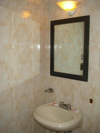 Bathroom 3, Hotel Patria, Mexico City