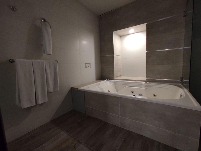 Bathroom 5, ホテル アンディノス プラザ フロレンシア, Florencia