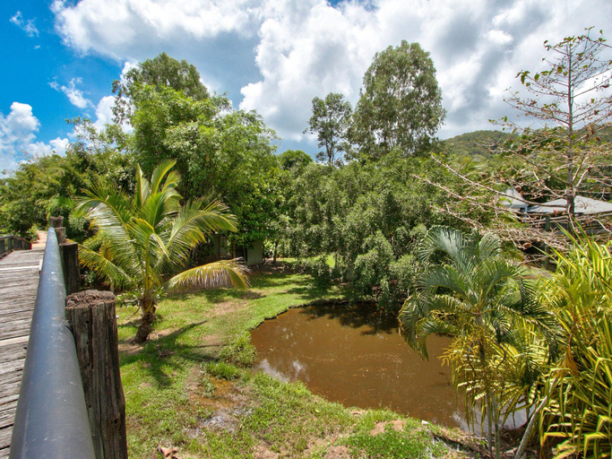 Others 5, Daintree Wild Bed & Breakfast, Douglas
