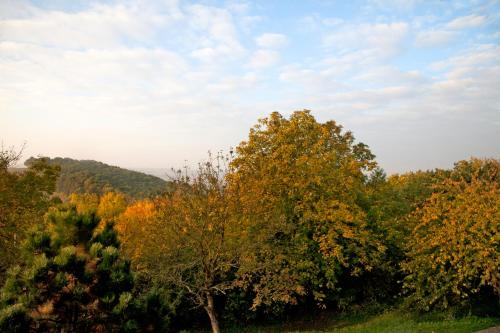 Hotels Green Lemon Garni – Haus Krahenhutte, Weimarer Land