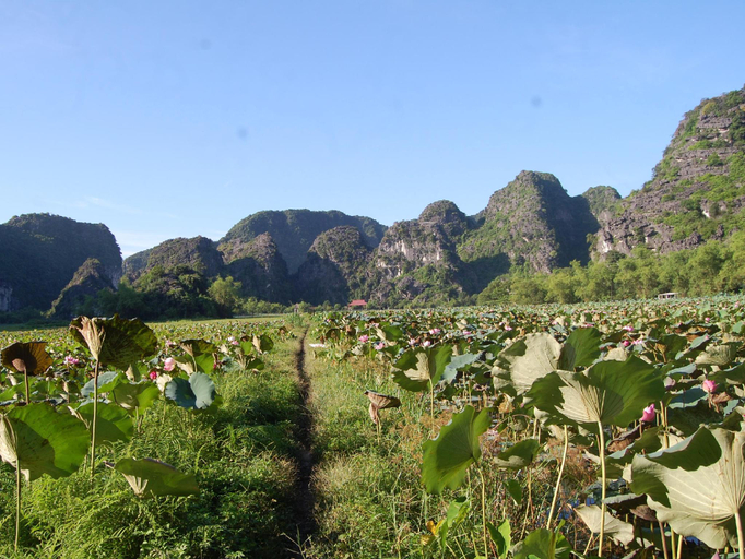 Others 5, Trang An Farm Stay Guest House, Hoa Lư