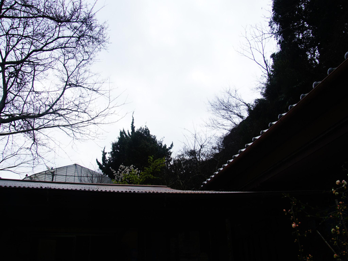 Others 2, Minshuku Seizanso, Minamibōsō