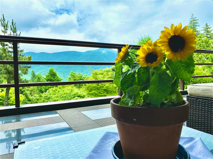 Public Area 2, Hotel Marroad Hakone, Hakone