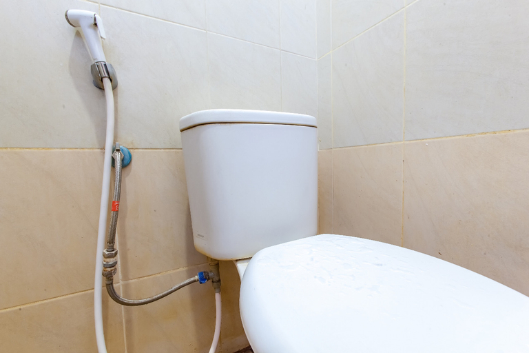Bathroom 5, Star Inn, Medan