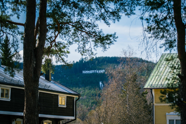 Others 3, Lergodset B&B - Vandrarhem och restaurang, Ragunda