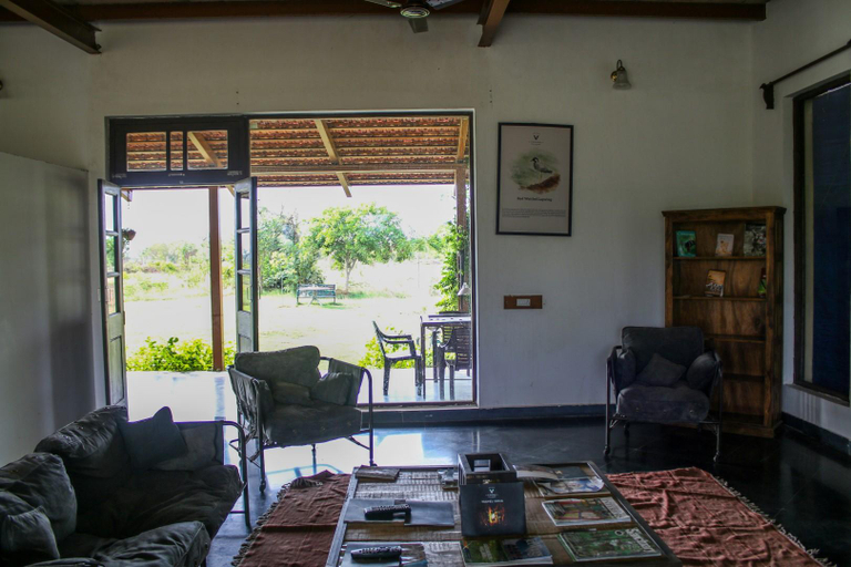 Public Area, Mahua Tola Tadoba, Chandrapur