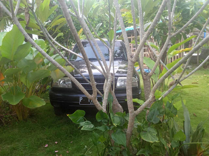 Others 4, Shanum Homestay Banyuwangi, Banyuwangi