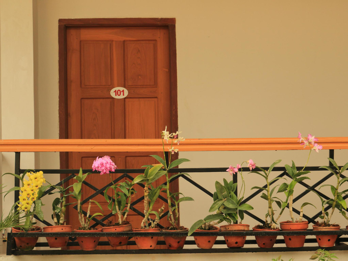 Others 3, Golden Lotus Inle Hotel, Taunggye