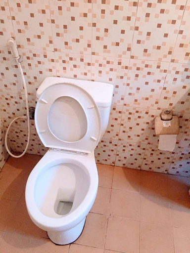 Bathroom 3, Summer Ridge Apartments, Ratnapura
