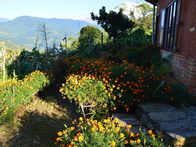 Garden 5, Mystique Highland Resort, Gandaki