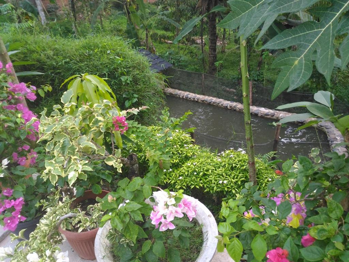 Others 3, Meuthia Homestay, Sawahlunto