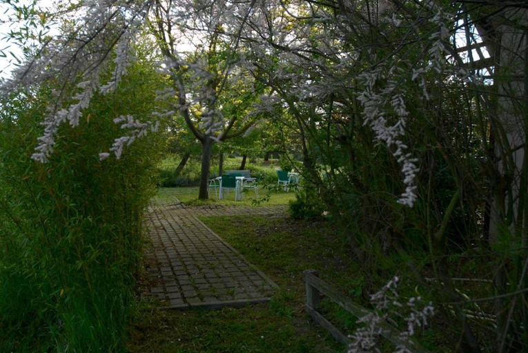 Others 3, B&B Rose Canine, Forli' - Cesena