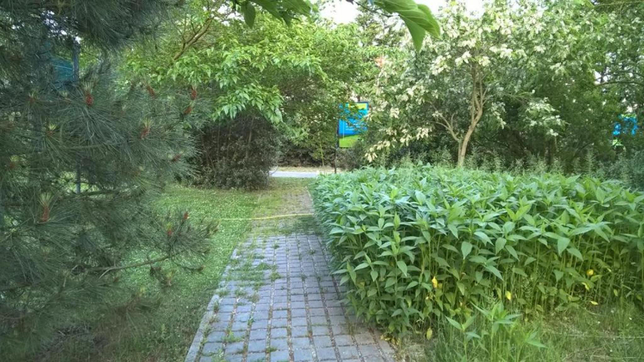 Others 5, B&B Rose Canine, Forli' - Cesena