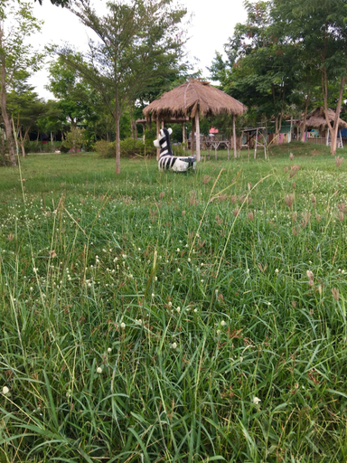Others 5, Rombaramee Villa Resort, Sung Noen