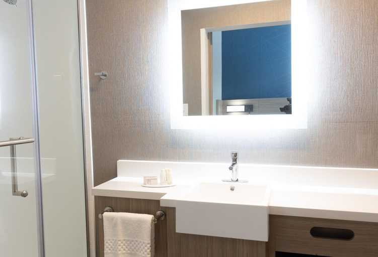 Bathroom 4, SpringHill Suites by Marriott Slidell, Saint Tammany
