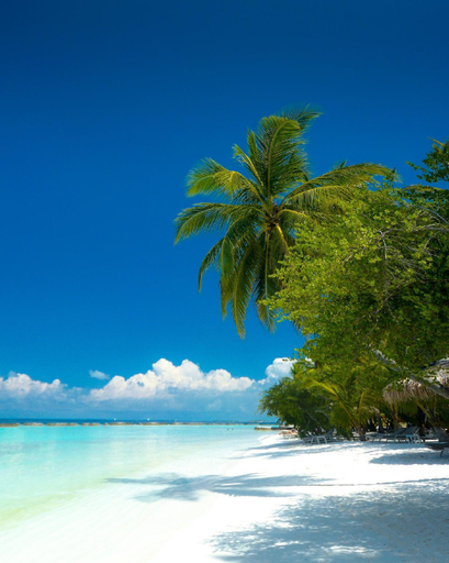 Others 3, La Isla Bonita, Guraidhoo
