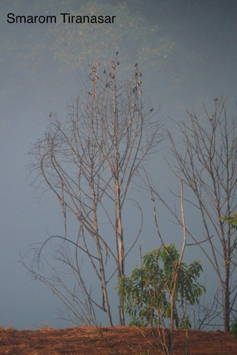 Others 4, Hughome Valley ChiangDao, Chiang Dao