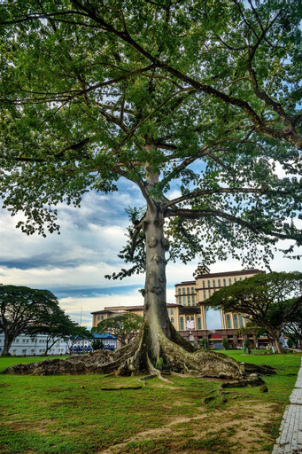 Nearby Landmark 5, Zen66@Roxy Serviced Apartment, Kuching