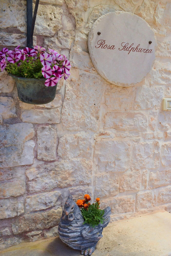 Others 4, Bed  Breakfast La Rosa dei Trulli, Taranto