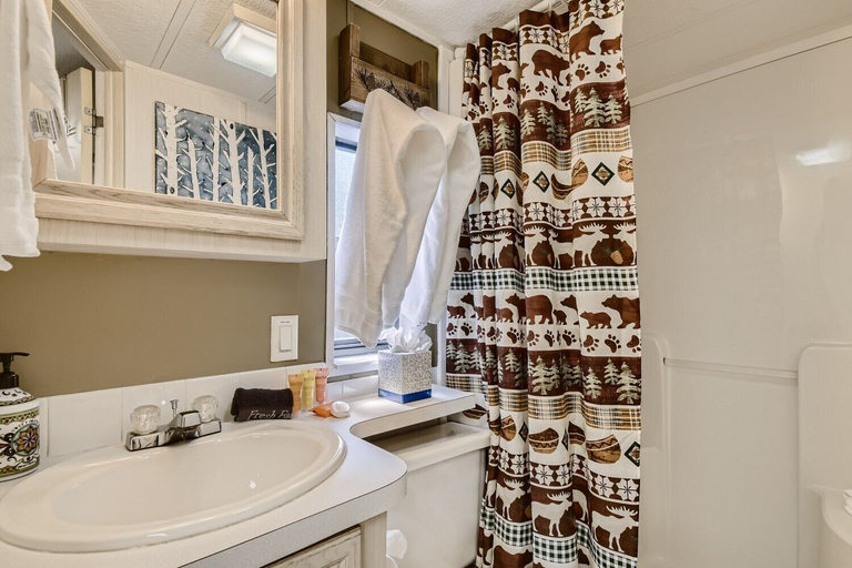 Bathroom, The Breckenridge Mountain Chalet, Summit