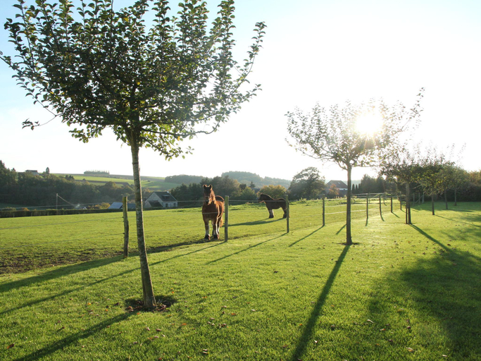 Others 4, Elegant Estate Stay, Maredsous, Namur