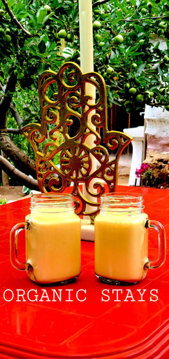 Food & Drinks 4, Organic Stays, Kullu