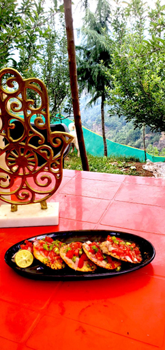 Food & Drinks 3, Organic Stays, Kullu